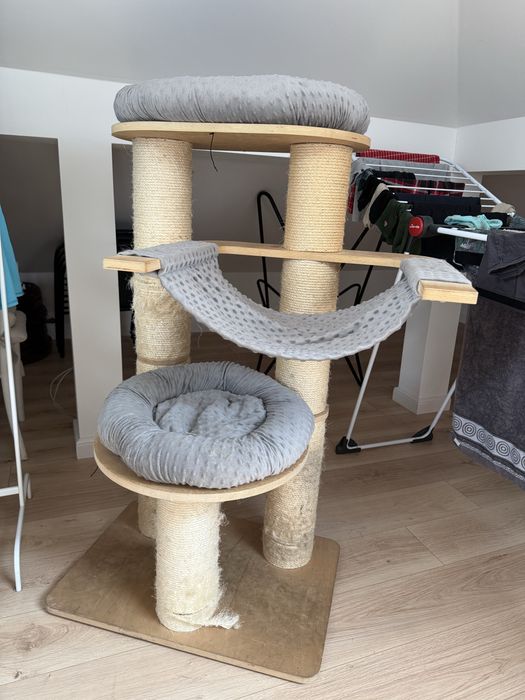 Drapak amaryllis L natural paradise