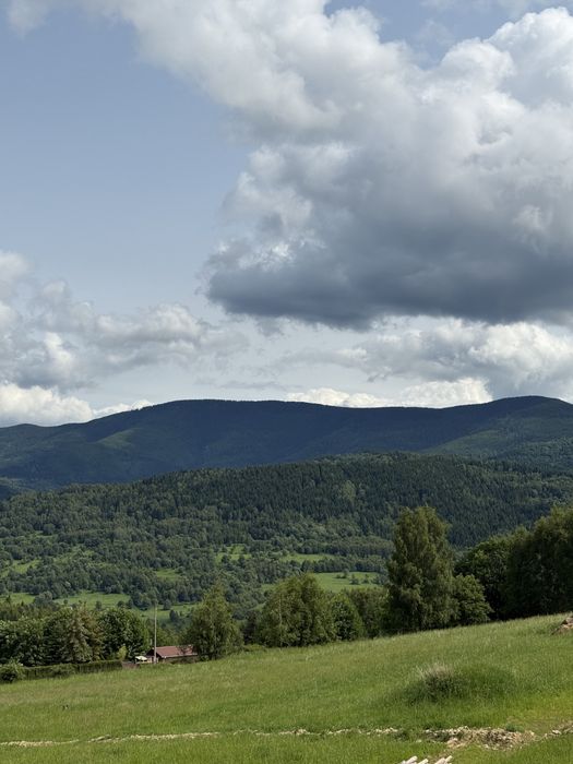 PILNIE Zawoja | 2 HA | 20 zł/m² | działki widokowy | piękne widoki - Widok 4