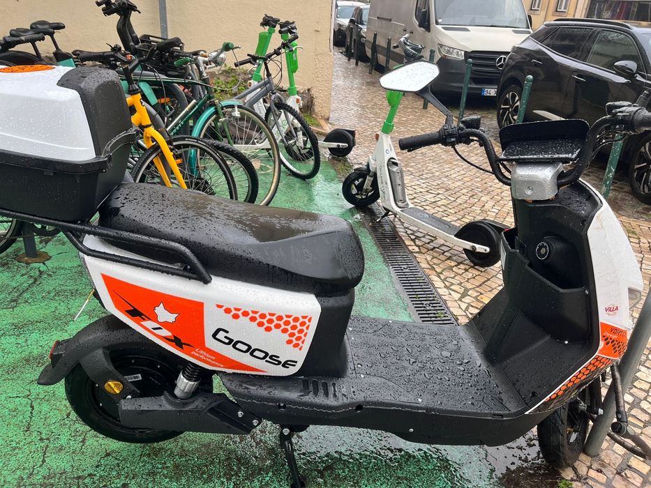 Mota Goose Fox litio