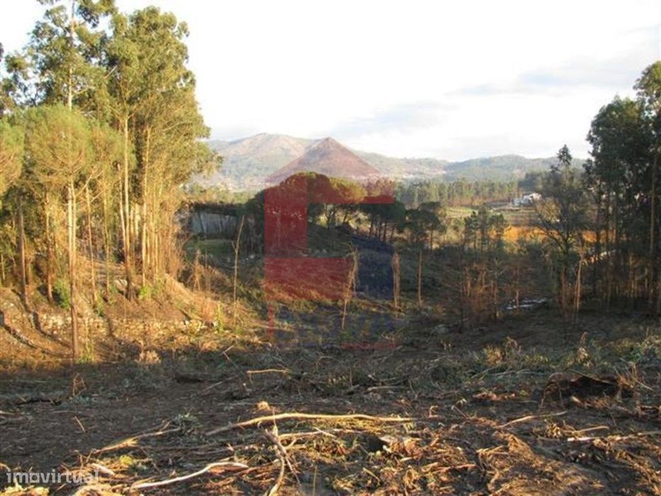 Terreno em floresta produção, Lanhas — Lanhas, Braga