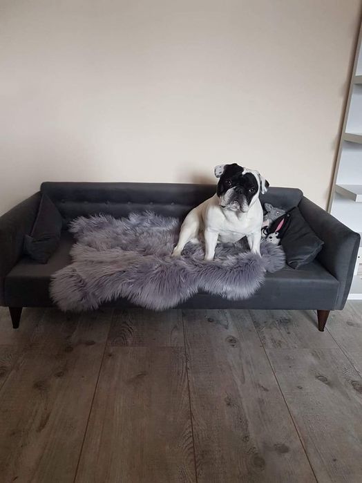 Sofa legowisko na zamówienie święta
