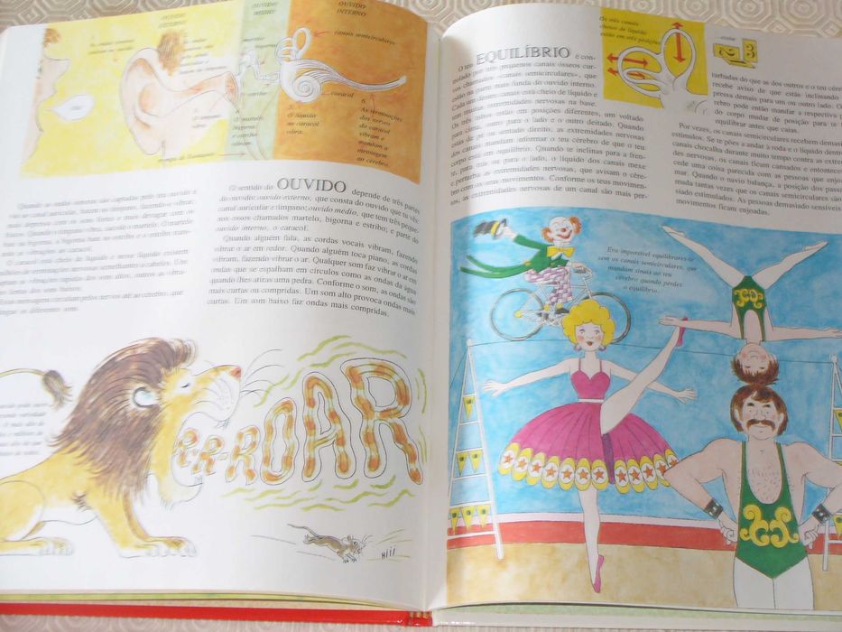 O nosso corpo; como nasce, como cresce, como funciona