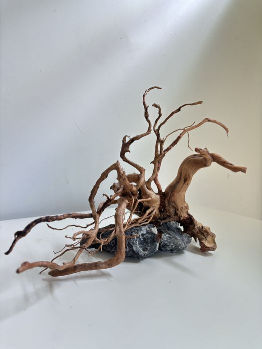 Aranżacja do akwaium - korzeń red moor wym. 26x15x20