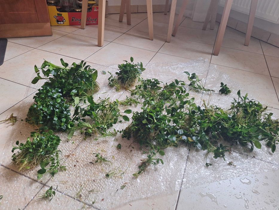 Akwarium+szafka+pokrywa+niezbędne dodatki