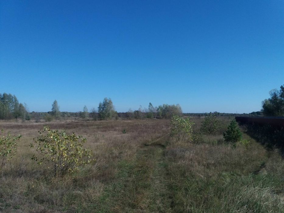 Продаж. Земельна діл. 3,5 Га. Промисловість. Мар'янівка, Київська обл