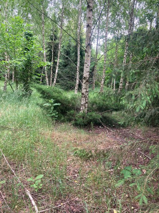 Dzialka 4000 m/2 na sprzedaz- Husinka Gmina Biala Podlaska