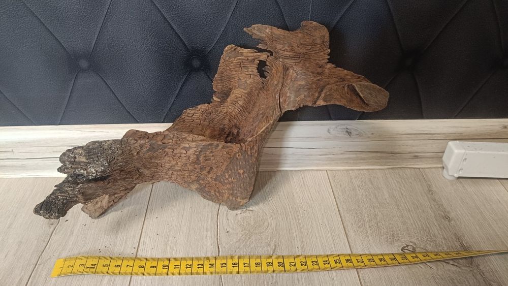 Korzeń Akwarystyczny