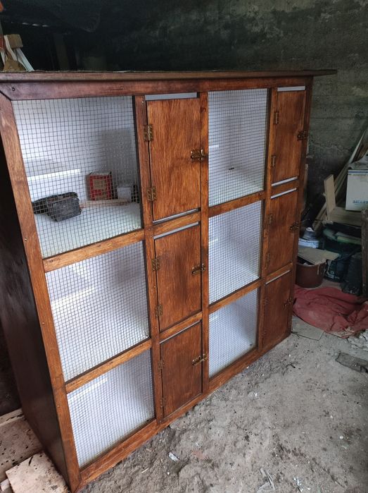 Gołębie pocztowe regal