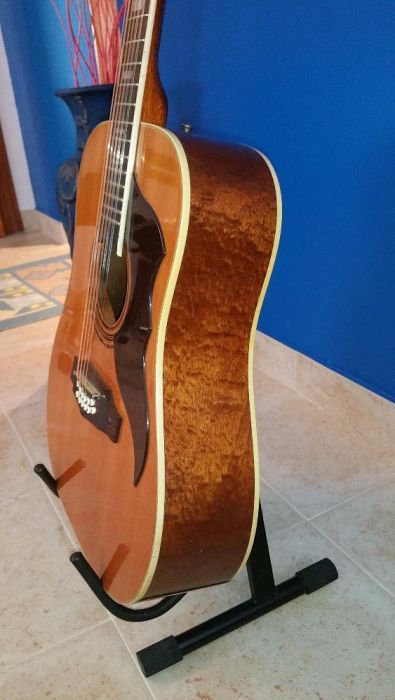 Eko Ranger XII (1971) - 12 strings