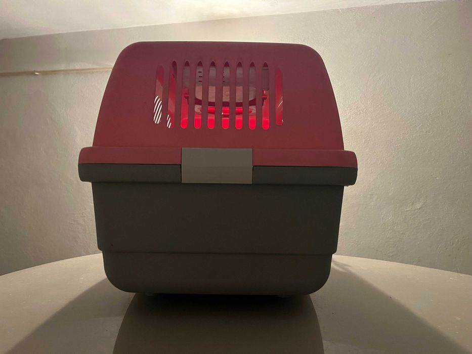 Transportadora de Cães (Box)