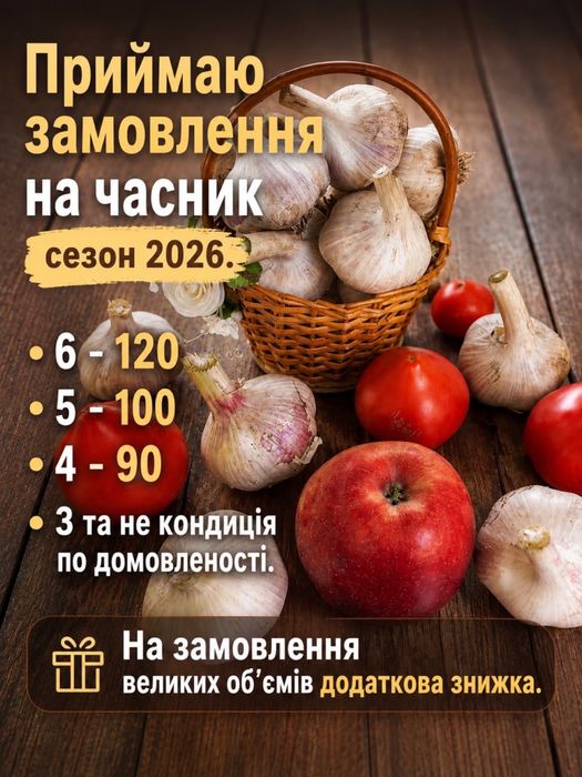 Продам часник Любаша