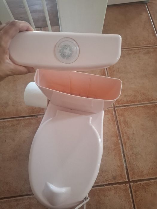 Sanita de aprendizagem