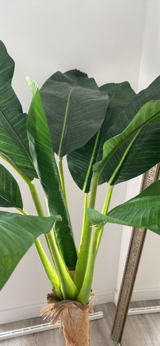 Vaso para planta novo com eriqueta