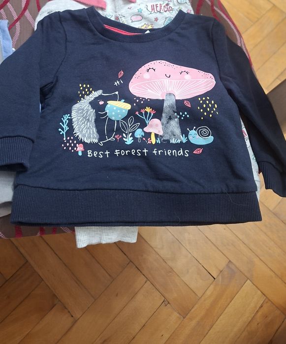 bluza dla dziewczynki roz. 68 Jeżyk i Grzybek