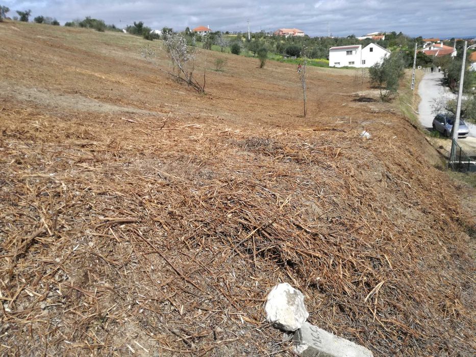 Terreno urbanizável em Moçarria com vista panorâmica de vários Km