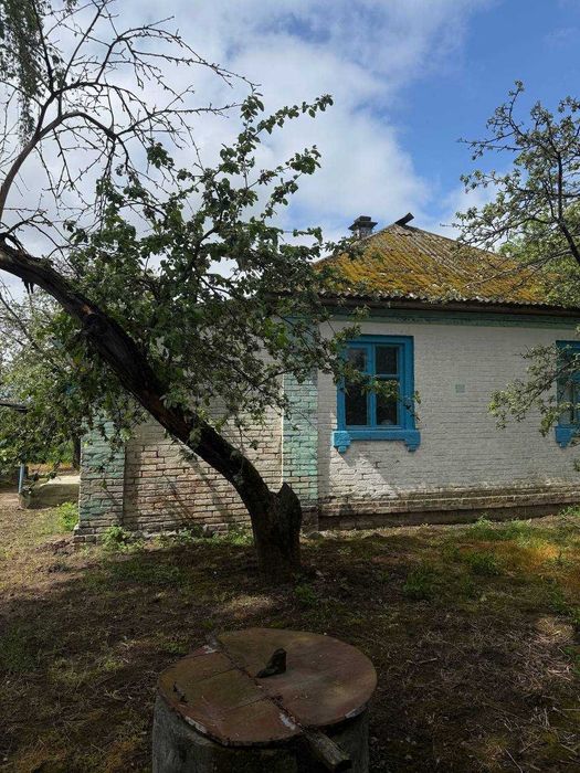 Продаж добротного будинку у с. Красилівка неподалік траси Чернігів — Київ!