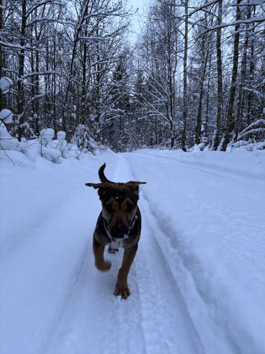 Zoja pilnie szuka domu