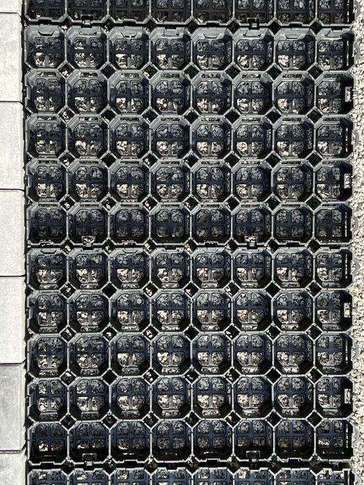 GEOKRATA, kratka trawnikowa, parkingowa, drogowa 60x40x4