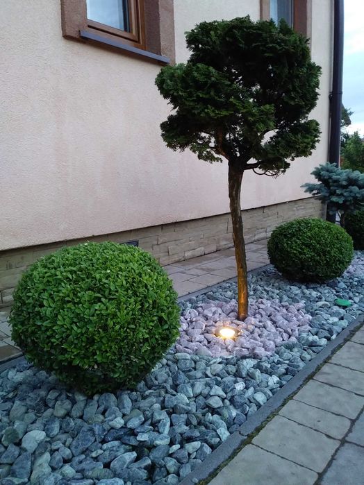 Ландшафтний дизайн газони