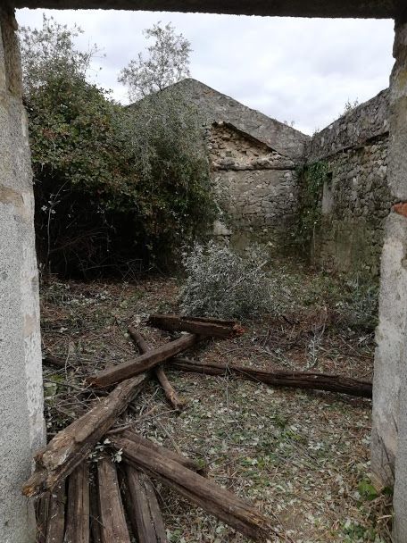 LLP-Limpeza de terrenos/ lavra terrenos/Prestação de serviços