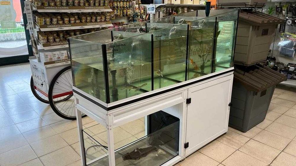 Cascata  Para Peixes