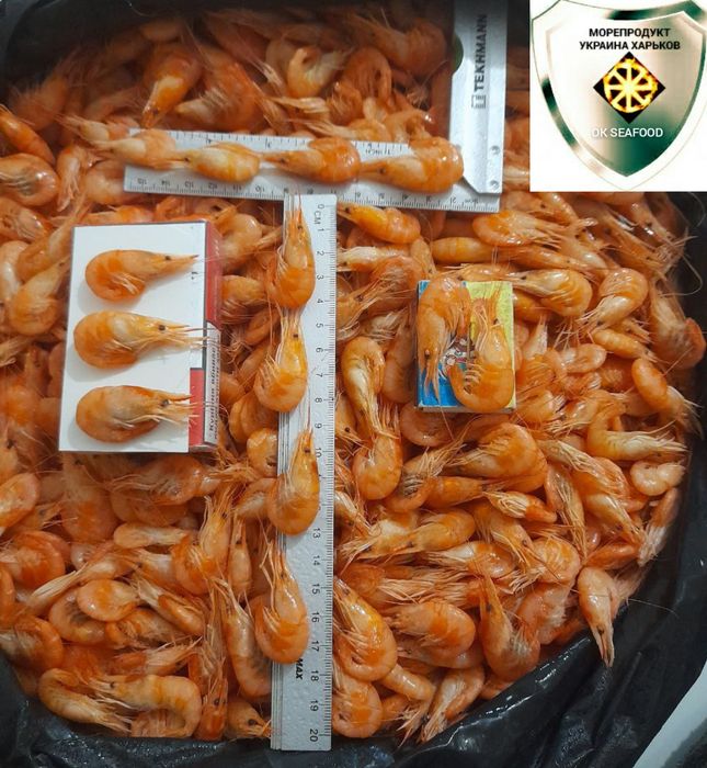 Креветки черноморские, атлантические, индийские,тихоокеанские