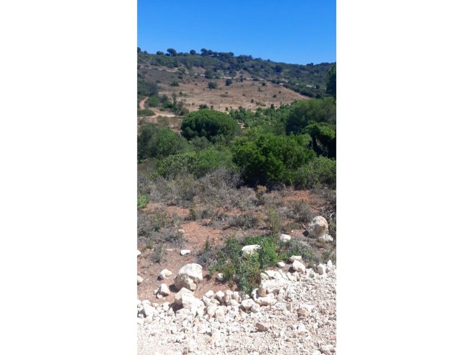 Terreno Rustico com 15000m2 

Situa-se Nos Monteiros em Vale Judeu — São Sebastião, Faro
