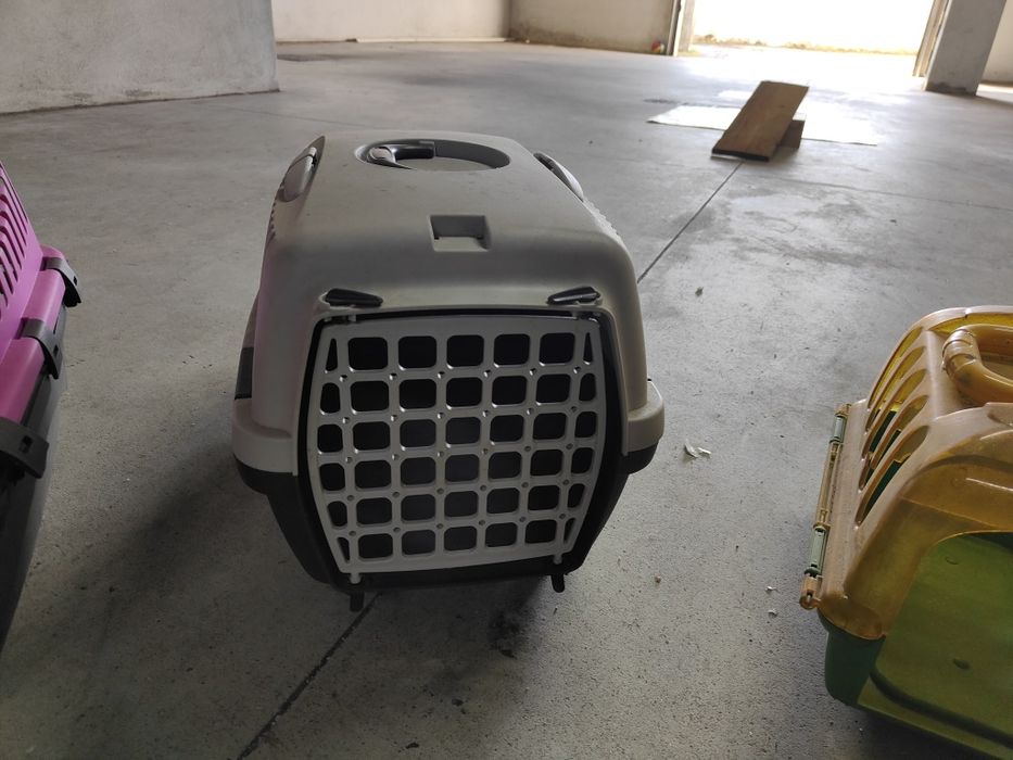 Acessórios para Gatos