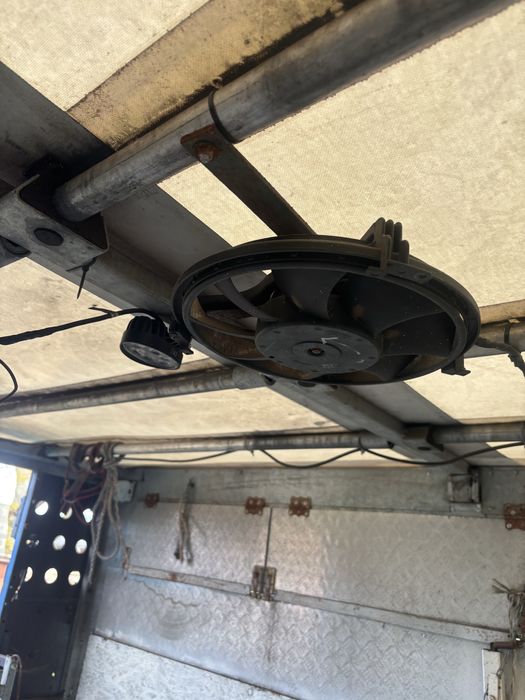 Transport żywych zwierząt i inne