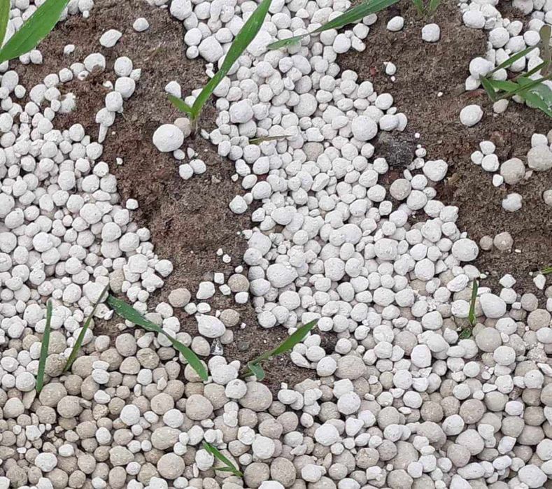 Wapno nawozowe granulowane. Czarna kreda jeziorna.