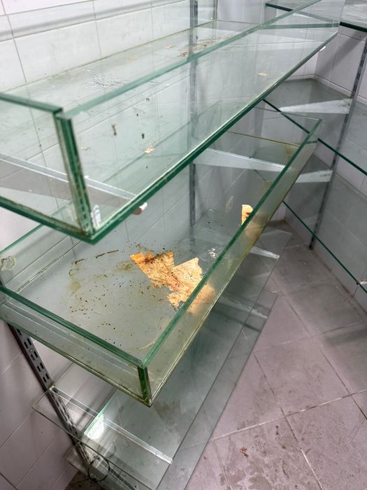 Serviços de limpeza