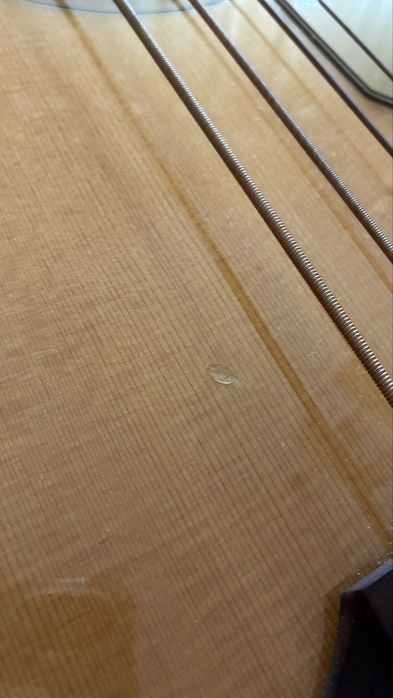 Fender Kingman Bass
