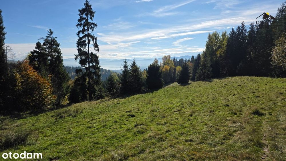 Widokowa polana w Gorcach