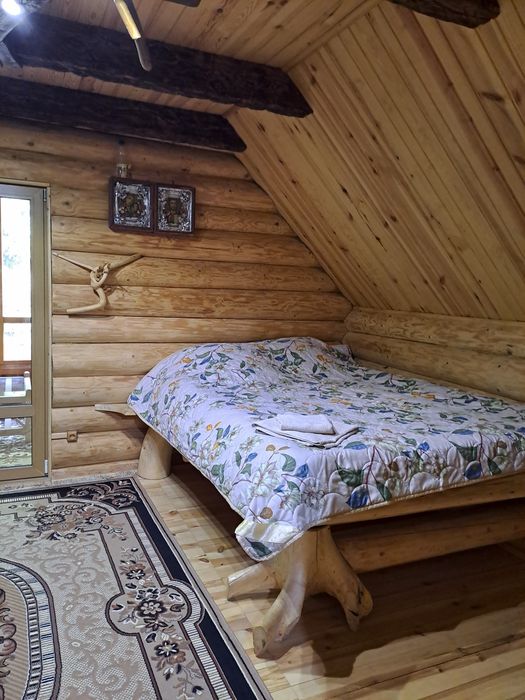 Будинок з чаном Синевир "Синевирська Косиця"