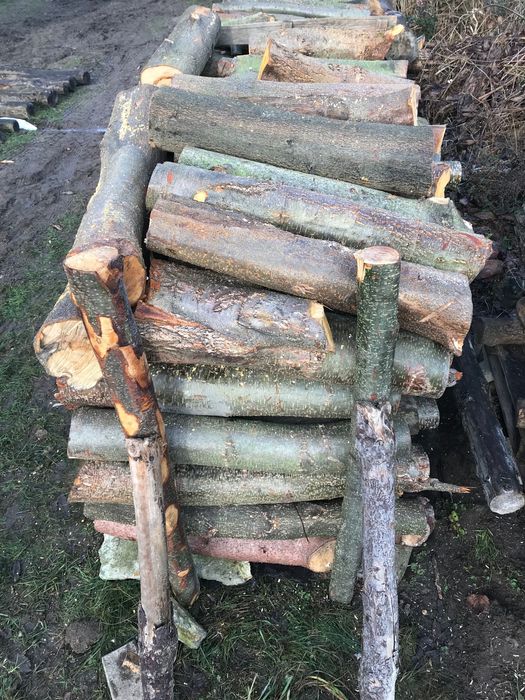 Drewno Olcha Olszyna na opal, do kominka lub wędzenia.