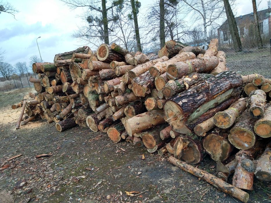 Drewno opałowe Brześć i okolice