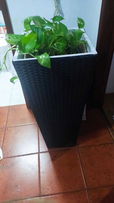 Floreira super barata