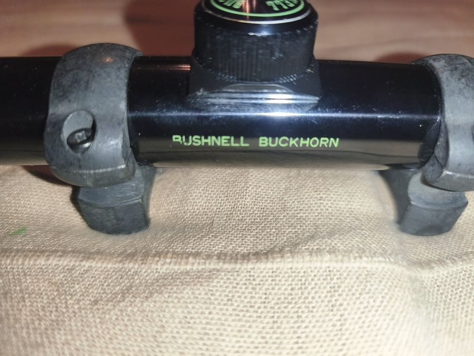 Mira Bushnell Buckhorn