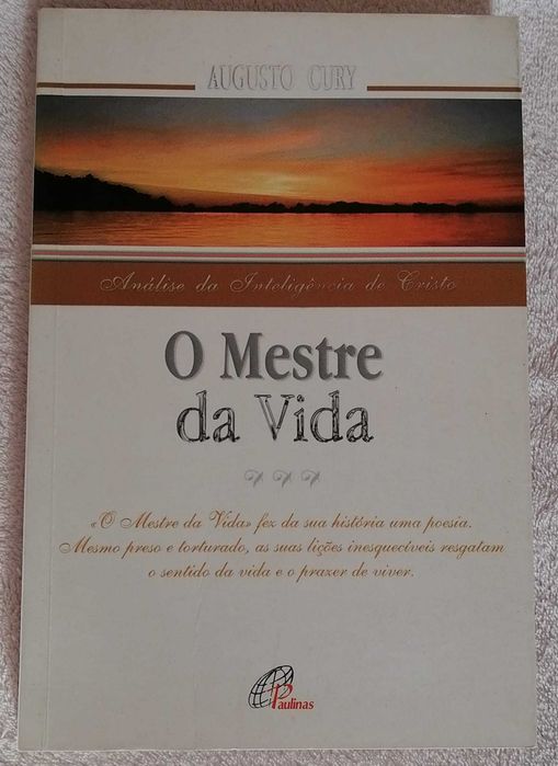 O Mestre da Vida - Augusto Cury