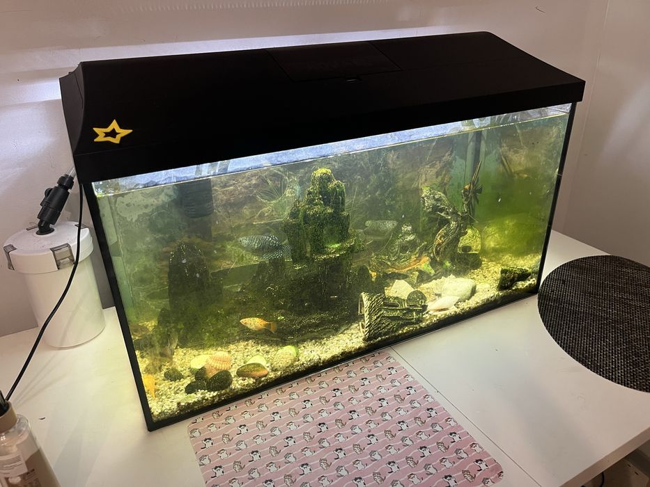 Akwarium 74x49x35 z rybkami filtrami