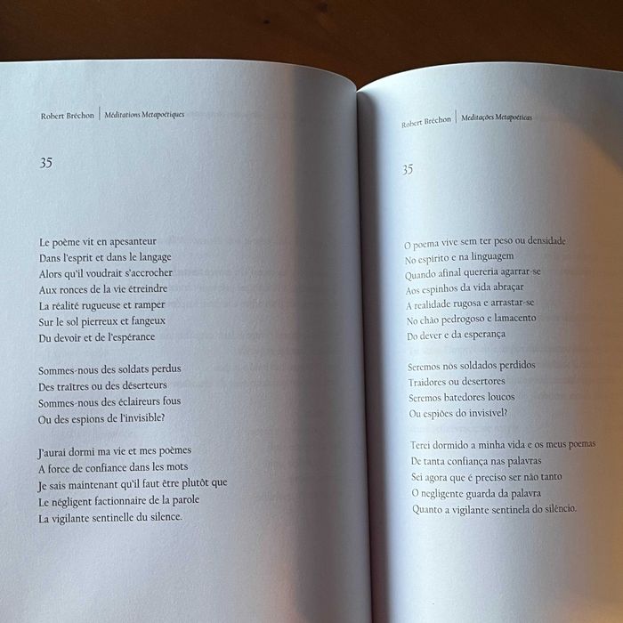 António Ramos Rosa / Robert Bréchon - Meditações Metapoéticas / Méditations Metapoétiques (1.ª edição, 2003)
