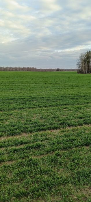 Продам 500 га ВІННИЦЬКА область