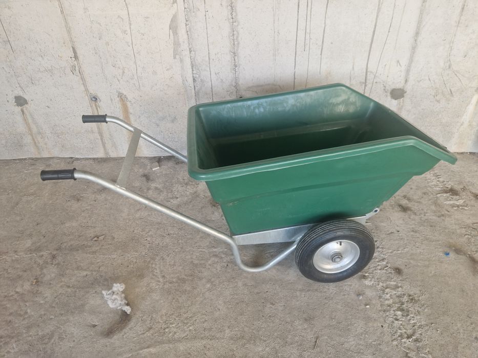 Carrinho para equitação, cavalos