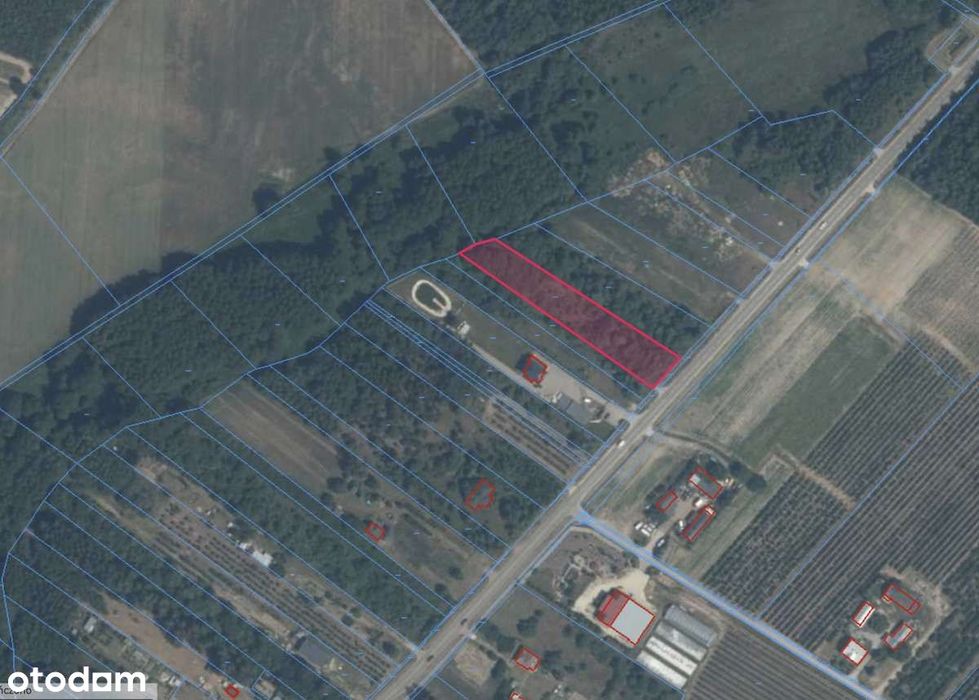 Działki rolne – Brzostowiec, gm. Mogielnica
