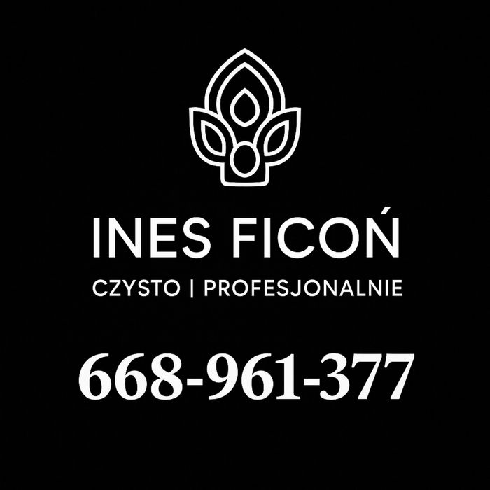 Sprzątanie domów, mieszkań, biur, po remoncie , czyszczenie aut  ..