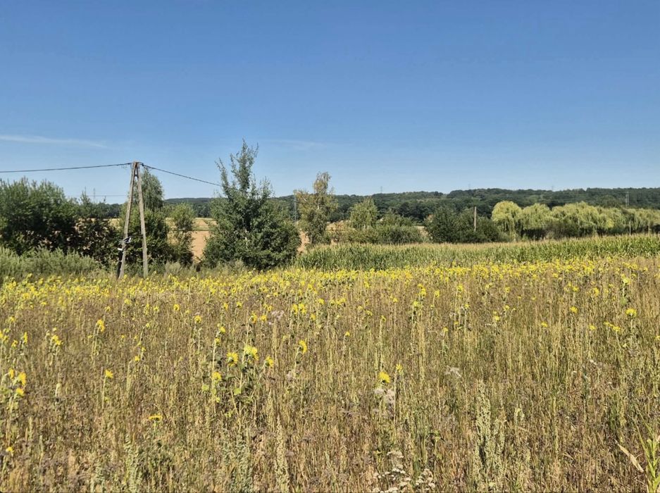 Działka budowlana Krajów 1200m2