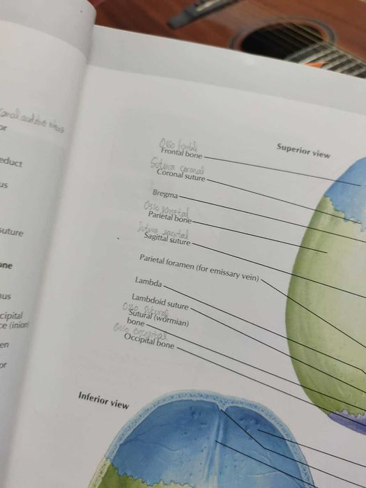 Atlas de anatomia humana