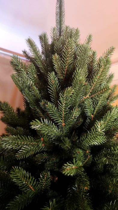 Альпійська зелена 2,1 м Siga group лита штучна ялинка ёлка литая