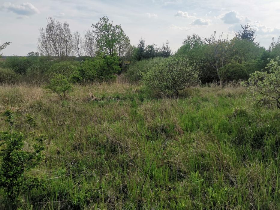 Działka budowlana