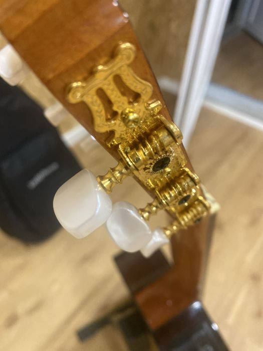 Viola Nova guitarra